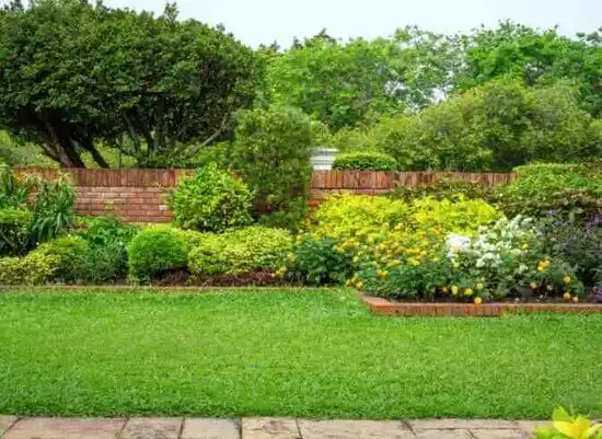 landscaping services Loma Linda